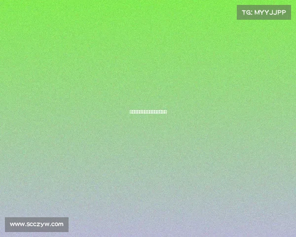 临沂万象战队破晓新象，竞绽锋芒