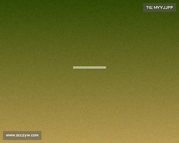 合肥点米电子竞技点米网络科技股份有限公司招聘